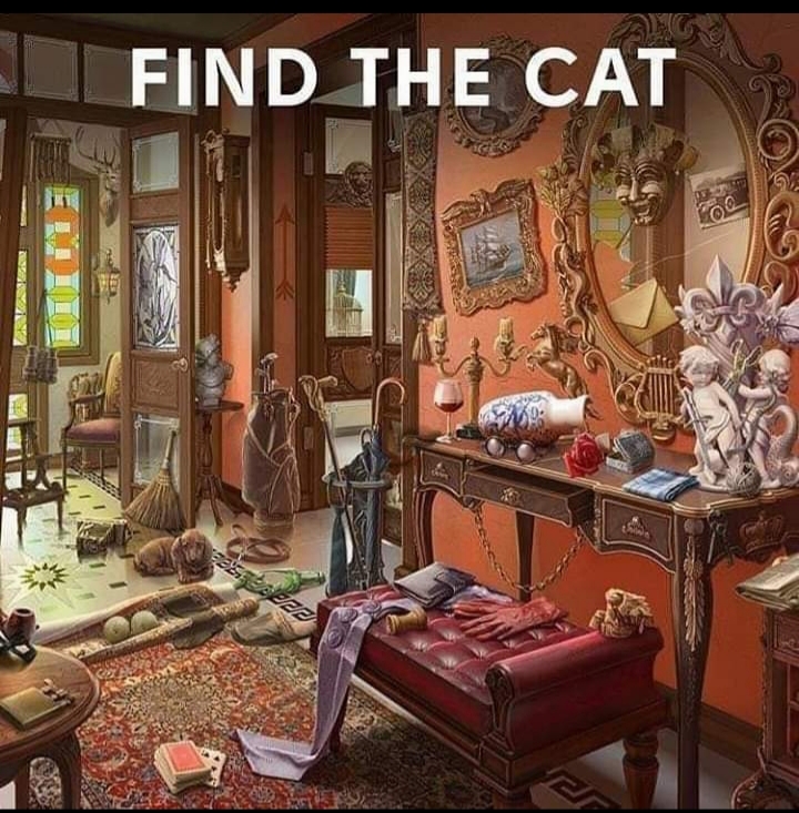 GAME-23- Find the Cat